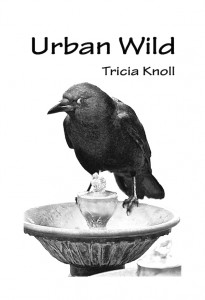 Cover art for Urban Wild