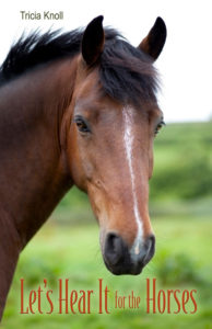 A close up of the face and head of a horse.