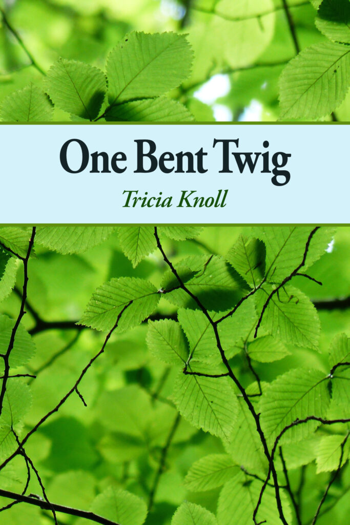 A book cover with leaves and the title of one bent twig.